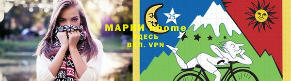 твердый Новозыбков
