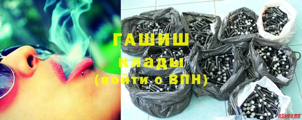 твердый Новозыбков