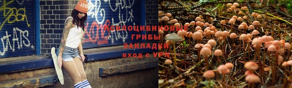 твердый Новозыбков