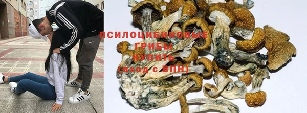 apvp Новокубанск