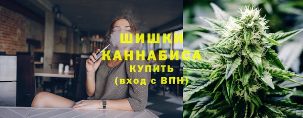 твердый Новозыбков