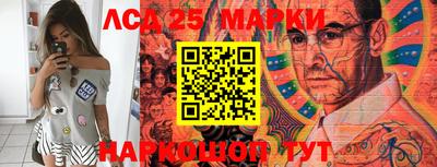 индика Беслан