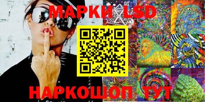 индика Беслан