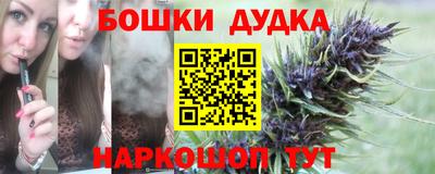 индика Беслан