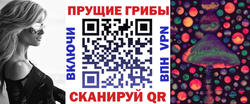 что такое Кизляр Псилоцибиновые грибы Psilocybine cubensis