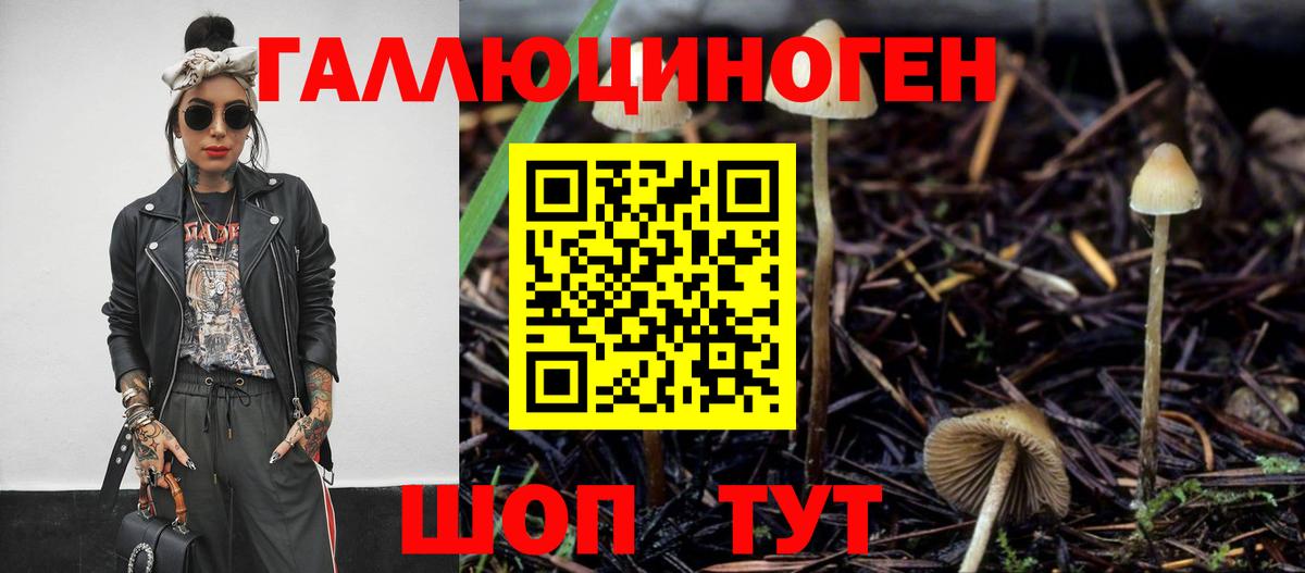 Псилоцибиновые грибы Cubensis  Псилоцибиновые грибы Psilocybine cubensis  закладки  Вход с VPN  Кизляр 