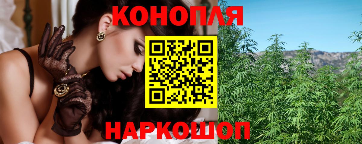 Каннабис White Widow  Канабис план  Кизляр  Вход с VPN  МАРИХУАНА Amnesia 
